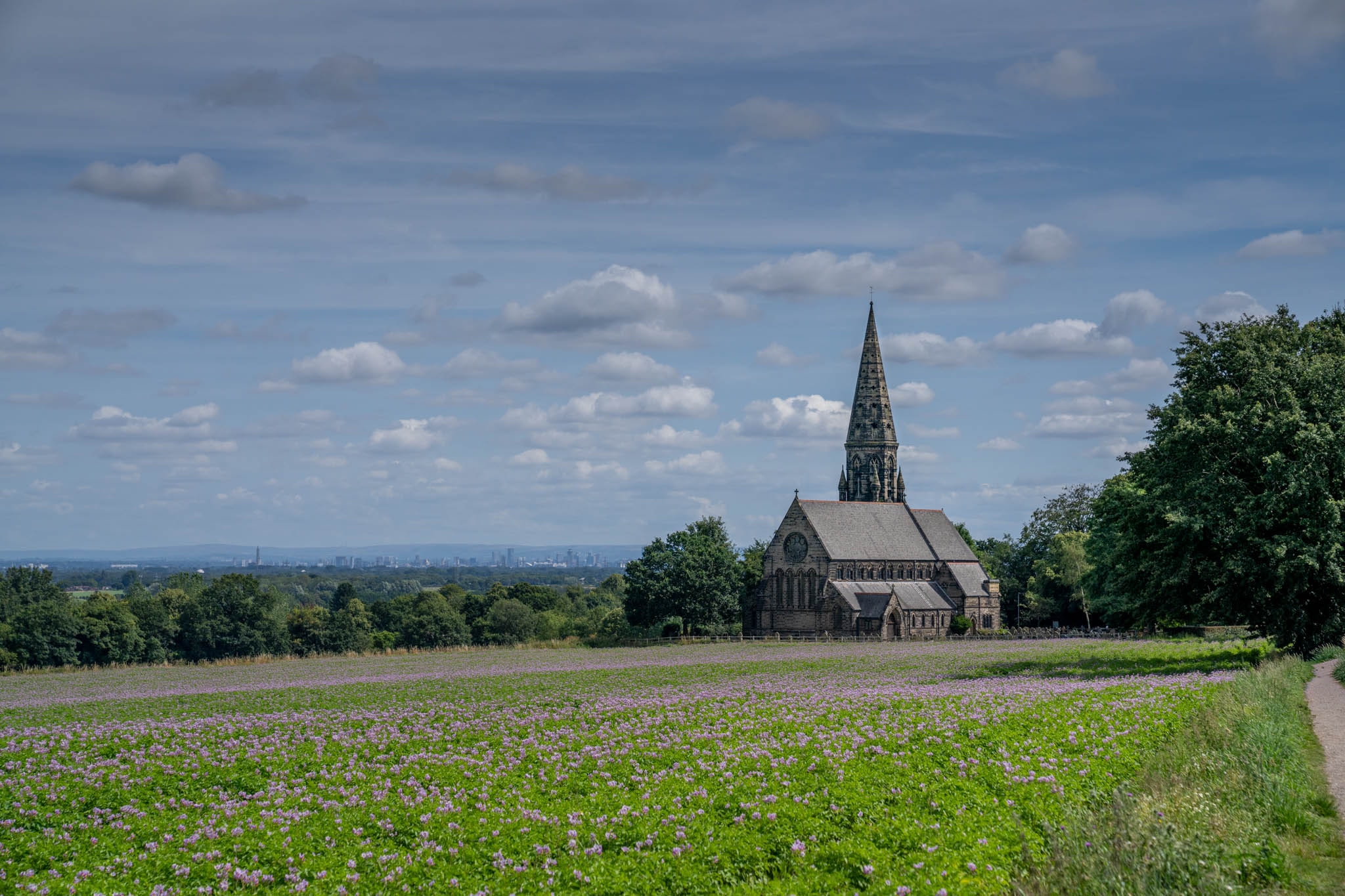 A church beyond a flower meadow in Lymm, photographed by Emanuele Zanchettin